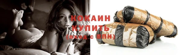 шишки Балахна