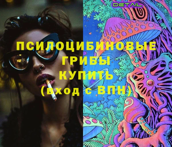 спайс Баксан