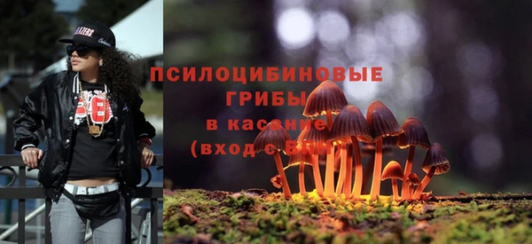 шишки Балахна
