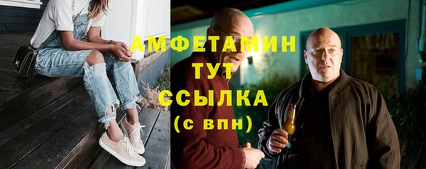 шишки Балахна